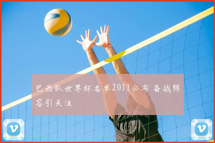 巴西队世界杯名单2011公布 备战阵容引关注
